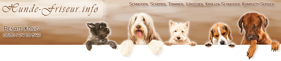 Hundesalon Banner